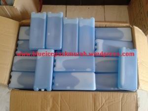 jual blue ice cooler, www.blueicepackmurah.wordpress.com, 082336973377